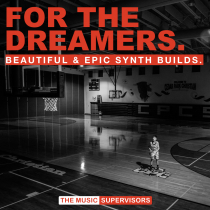 For The Dreamers Beautiful and Epic Synth Builds