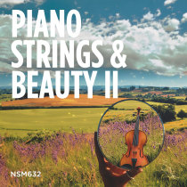 Piano Strings and Beauty II