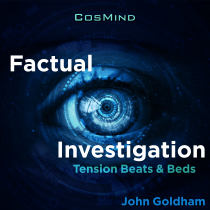 Factual Investigation Tension Beats and Beds
