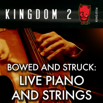 Bowed and Struck, Live Piano and Strings