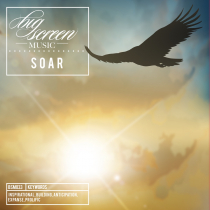 Soar