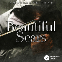 Beautiful Scars