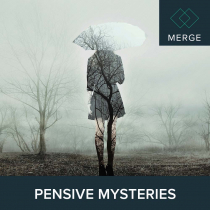 Pensive Mysteries