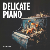 Delicate Piano