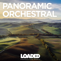 Panoramic Orchestral