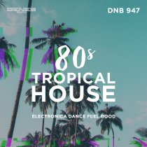 80s Tropical House