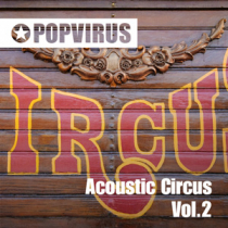 Acoustic Circus 2