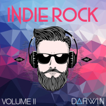 Indie Rock Volume 2