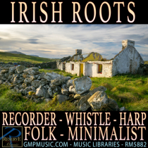 Irish Roots Solo Folk Instruments Recorder Whistle Harp Minimalist Underscore