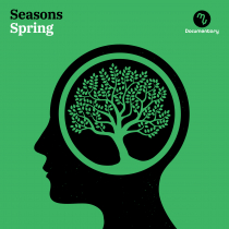 Seasons Spring