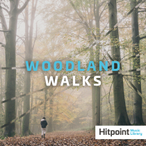 Woodland Walks