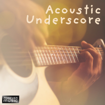 Acoustic Underscore FRM-110