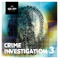 Crime Investigation 3