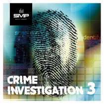 Crime Investigation 3