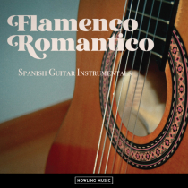 Spanish Guitar Instrs
