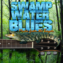 Swamp Water Blues - Music from the Bayou