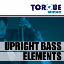 Upright Bass Elements