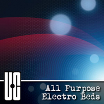 All Purpose Electro Beds