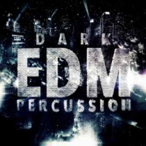 Dark EDM Percussion