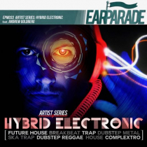 Hybrid Electronic