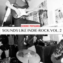 Sounds Like Indie Rock vol 2