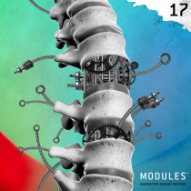 Modules 17