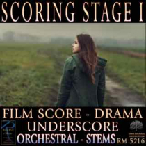 Scoring Stage I (Film - Drama - Underscore - Orchestral - Stems)