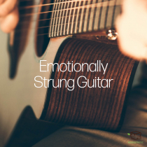 Emotionally Strung Guitar