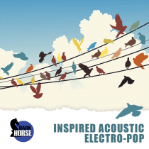 Inspired Acoustic Electro Pop