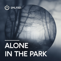 Alone In The Park