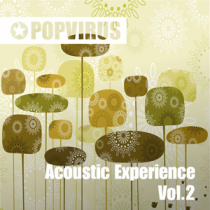 Acoustic Experience 2