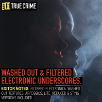 Washed Out and Filtered Electronic Underscores