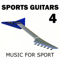 Sports Guitars 4