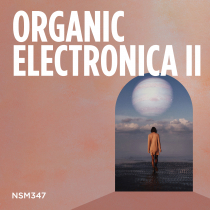 Organic Electronica II