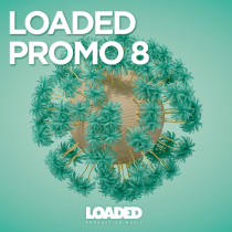 Loaded Promo 8