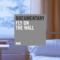 Documentary, Fly On The Wall