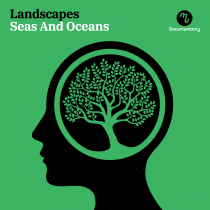 Landscapes Seas And Oceans