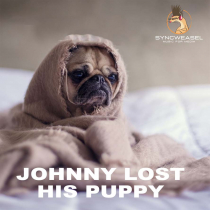 Johnny Lost His Puppy