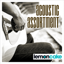 LCM-0141 Acoustic Assortments