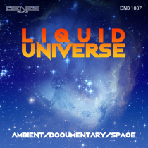 Liquid Universe