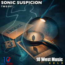 Sonic Suspicion