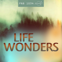 Life Wonders