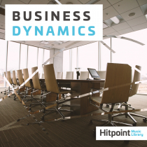 Business Dynamics