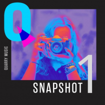Snapshot 1