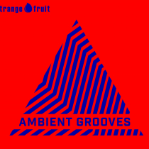 Ambient Grooves