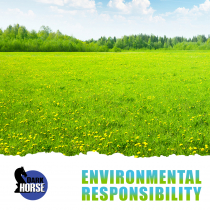 Environmental Responsibility