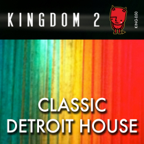 Classic Detroit House