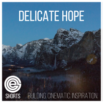 Delicate Hope Shorts