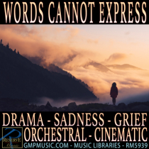 Words Cannot Express (Drama)
