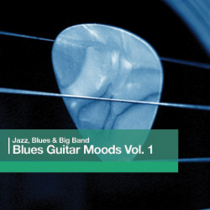Blues Guitar Moods Vol 1